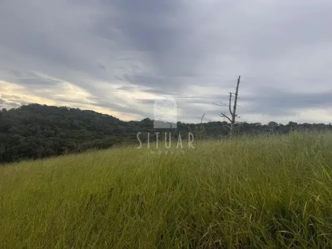 Beleza natural, área aproveitável, água e fácil acesso em um único lugar.