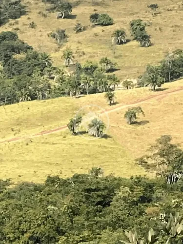 Bairro: Zona Rural Valor: R$ 4.000.000,00 codigo: 46024