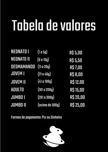 Ratos e camundongos para alimentação de serpentes 