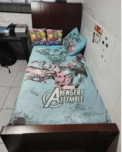 Cama de solteiro madeira maciça vendo ou troco.