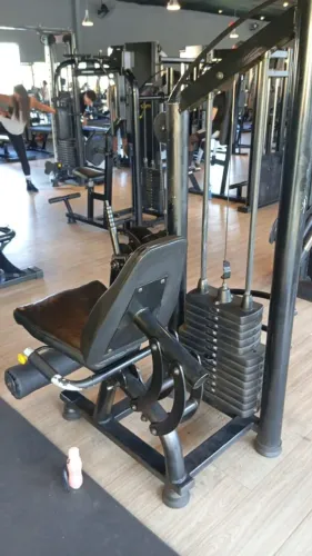 Cadeira Extensora - Lion Fitness