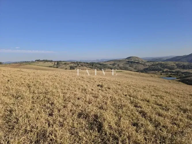 Fazenda à venda, Área Rural de Capão Bonito, Capão Bonito, SP