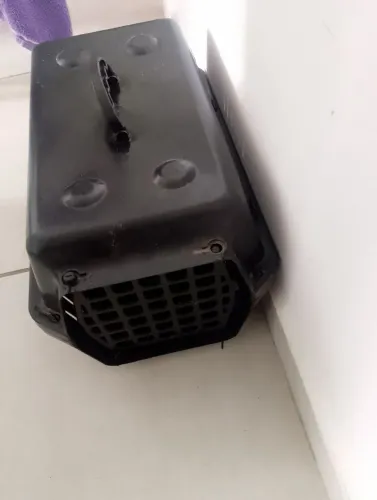 Gaiola para gato