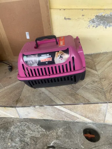 Casa para gato