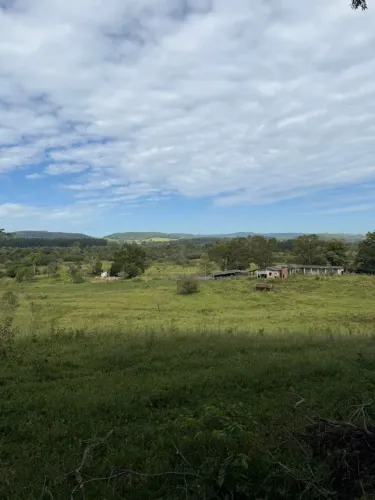 Oportunidade em área rural de 35 hectares em Taquara/RS