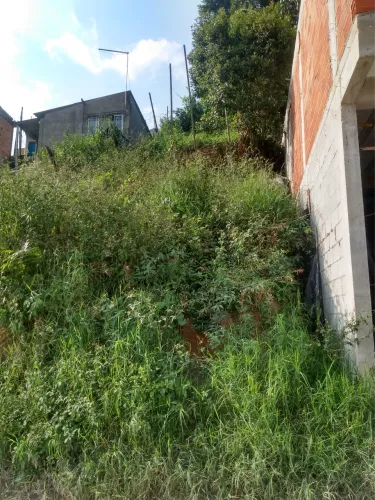Terreno 5x25