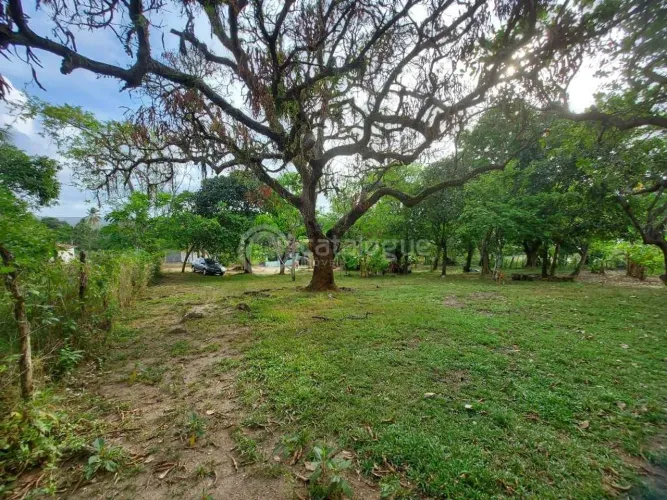 Sitio em São José de Mipibu