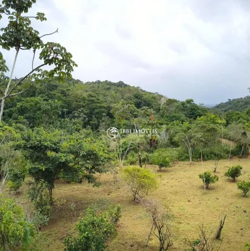 Sítio à venda, 65000 m² por R$ 390.000 - Povoado de Tremembé - Maraú/BA