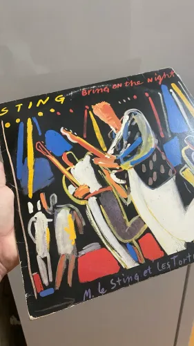 Sting Brimg on the night 