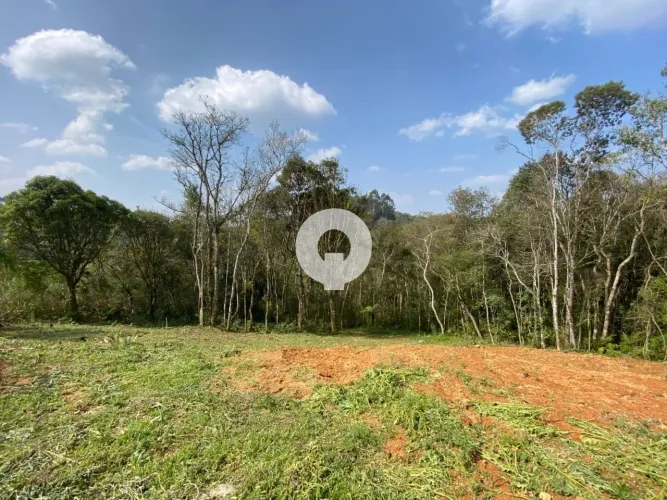 TERRENO A VENDA NA FAZENDA BOM JESUS II EM MANDIRITUBA
