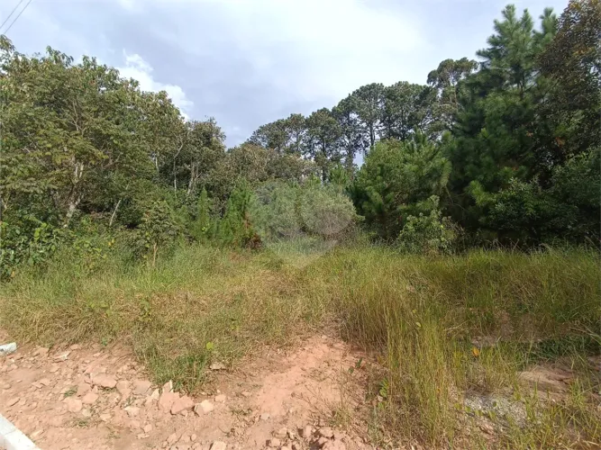 Terreno à venda no condomínio Residencial Sitio da Hortensias, São Roque - SP