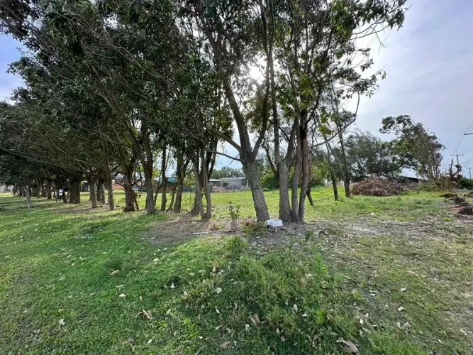 Terreno à venda em Imbé - Santa Terezinha