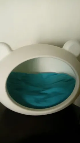 Casinha de pets