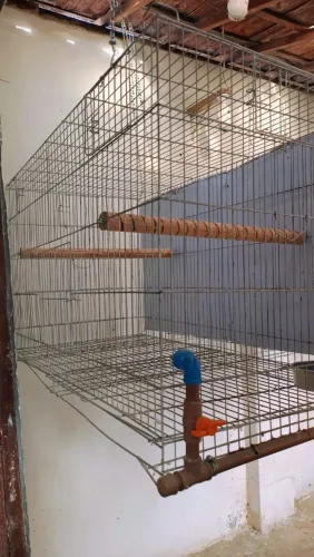 Gaiola de 1.20 cm malha larga