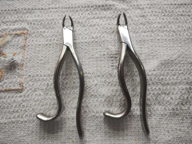 Alicates odontologia