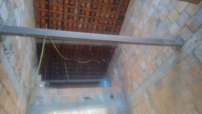 Linhas de massaranduba