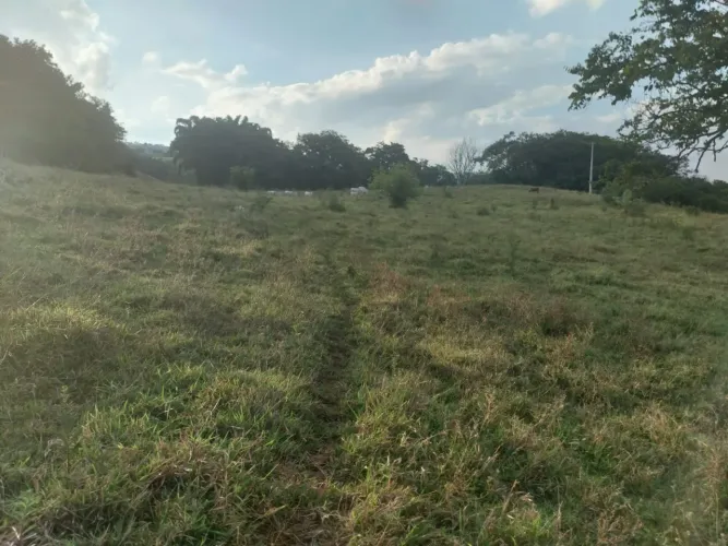 Sítio rural Cássia dos coqueiros sp