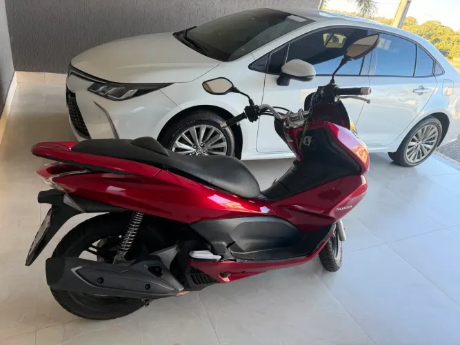 PCX  13/14