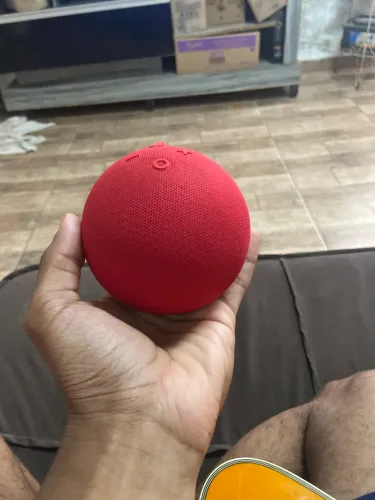 caixinha siri