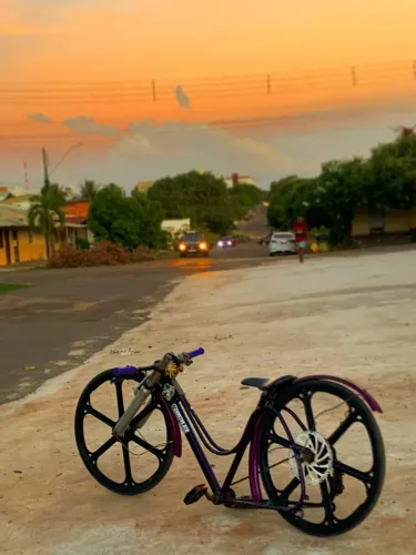 Monark brisa