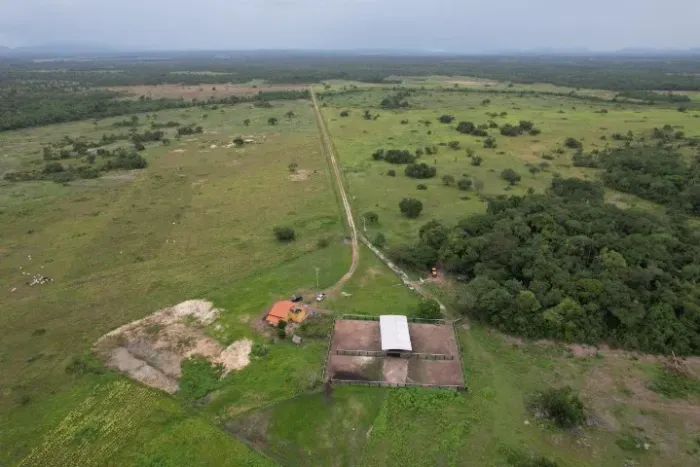 Vende fazenda no Sul do Pará com dupla aptidão ! Excelente negócio ! 364 alqueires !