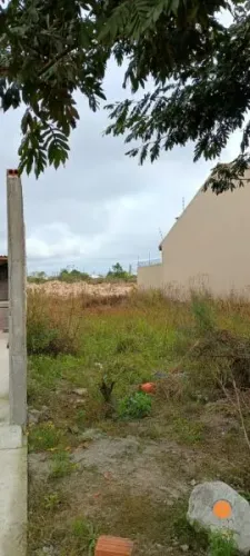 Terreno Pelotas RS brasil