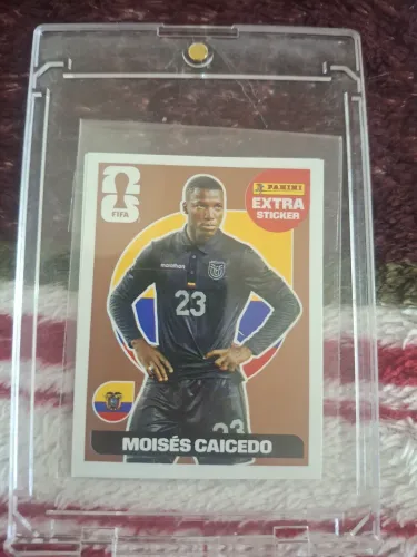 Figurinha Extra Sticker Bronze Moisés Caicedo Original
