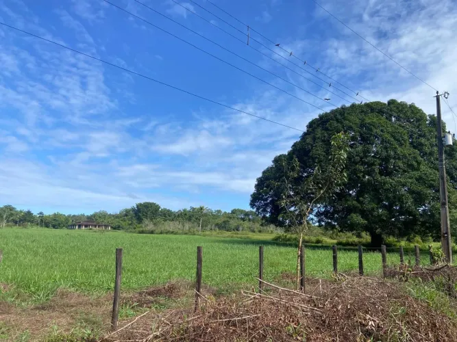 Fazendinha 55 hectares titulado TAUA