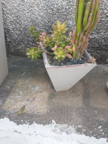 Desapego 4 vasos de cerâmica por 40,00