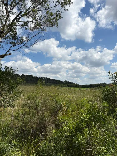 CASEIRO PARA FAZENDA