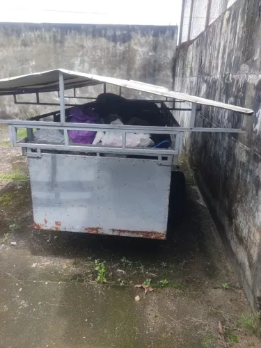Carro de ferro