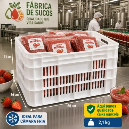 Caixas Agrícola Hortifruti para Câmara Fria branco natural 