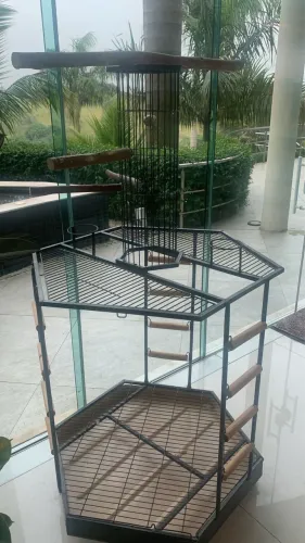 Playground Aves GRANDE
