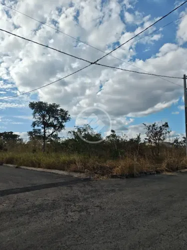 LOTE A VENDA SETOR ITAPUÃ codigo: 338368