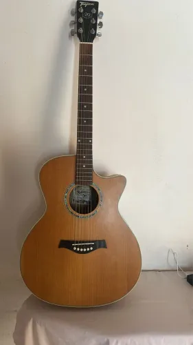 Violão Tagima Woodstock 29