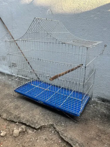 Viveiro aves médio