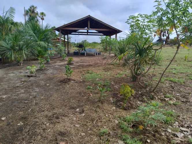 Sítio em Alto Alegre - Vicinal do Au Au - 5.000m² com Igarapé e Internet!