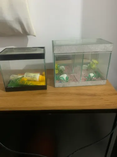 Aquariano portátil 