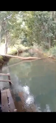 Venda