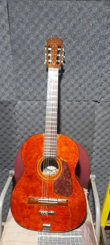 Violao digiorgio