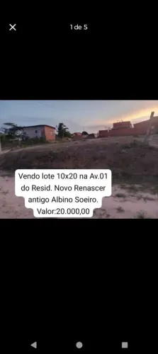 Lote