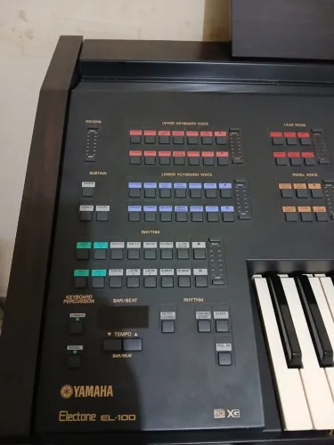 Órgão musical 