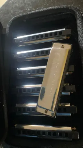 Gaita blues Band horner internacional