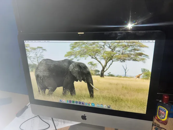 IMAC 2011
