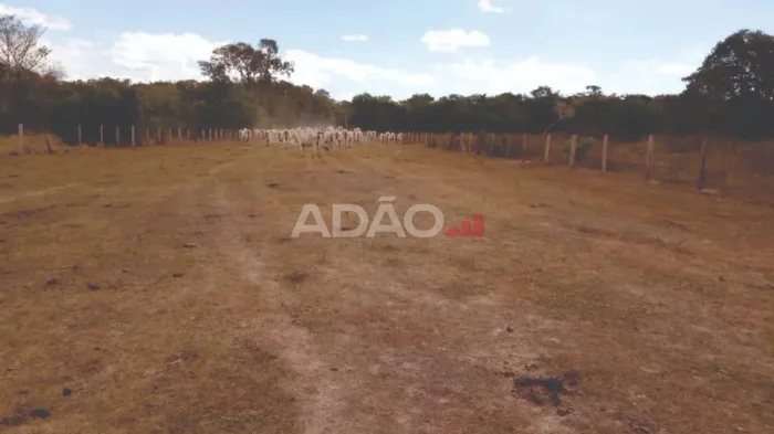 Fazenda para gado com 9.721 ha para cerca de 2.500 cabeças de gado com toda estrutura