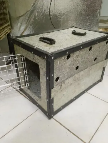 Caixa de transporte para cães porte pequeno