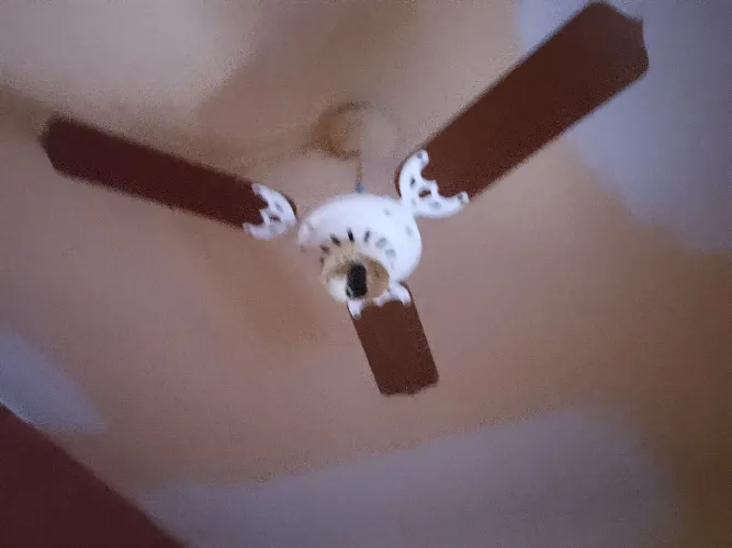 Ventilador de teto