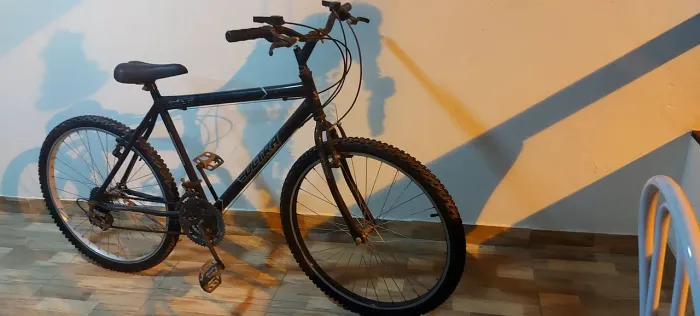 Bicicleta