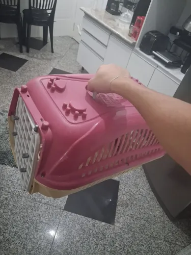 CAIXA DE TRANSPORTE PET