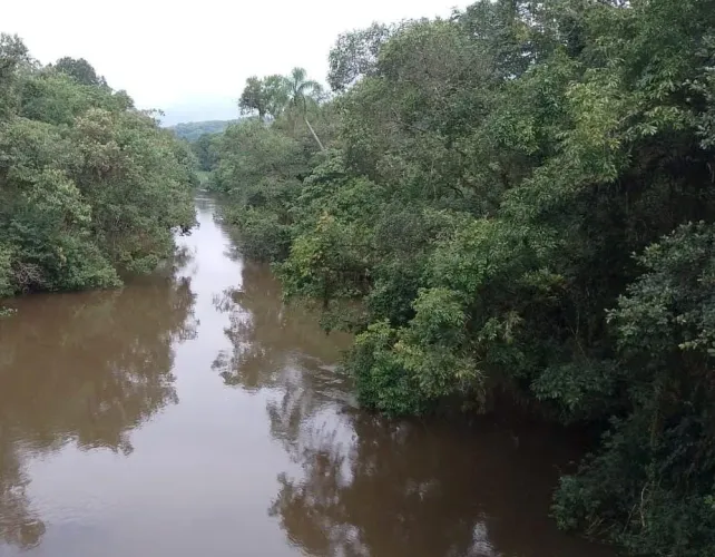 EXCELENTE ÁREA PARA COMPENSAÇÃO AMBIENTAL NO ESTADO DE SÃO PAULO ?? Localizada na Região d